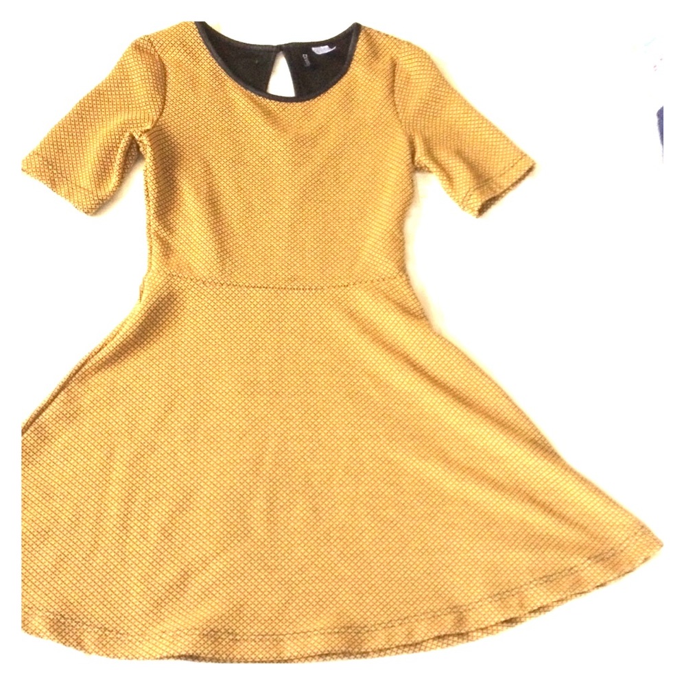 H&M Skater Dress